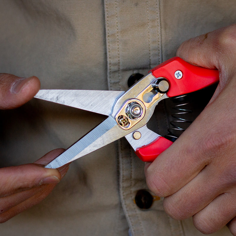 Sharpvet Red Hoof Shears