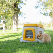 Rabbit burrow base to protect against weather, predators, and to promote natural burrowing behavior 