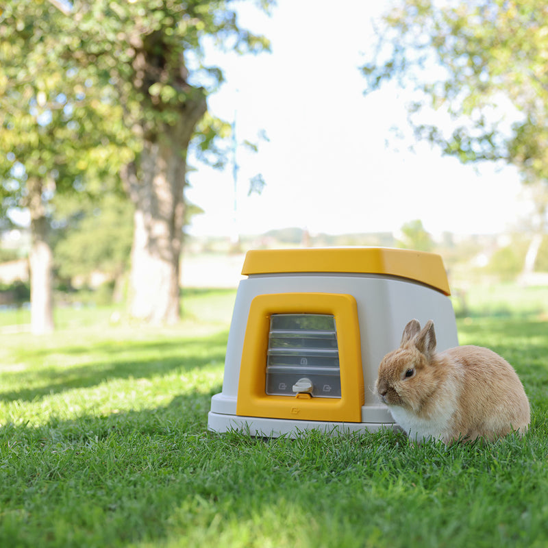Rabbit burrow base to protect against weather, predators, and to promote natural burrowing behavior 