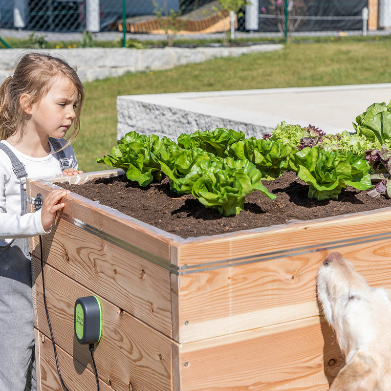 Kerbl Snail Stop electrical fence barrier on a raised crop bed to prevent damaging of crops from slugs and snails 