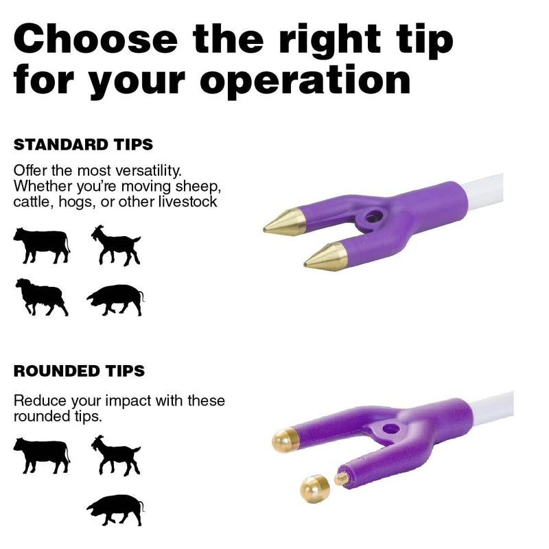 Sharpshock Max Electric Cattle Prod livestock handling guide 