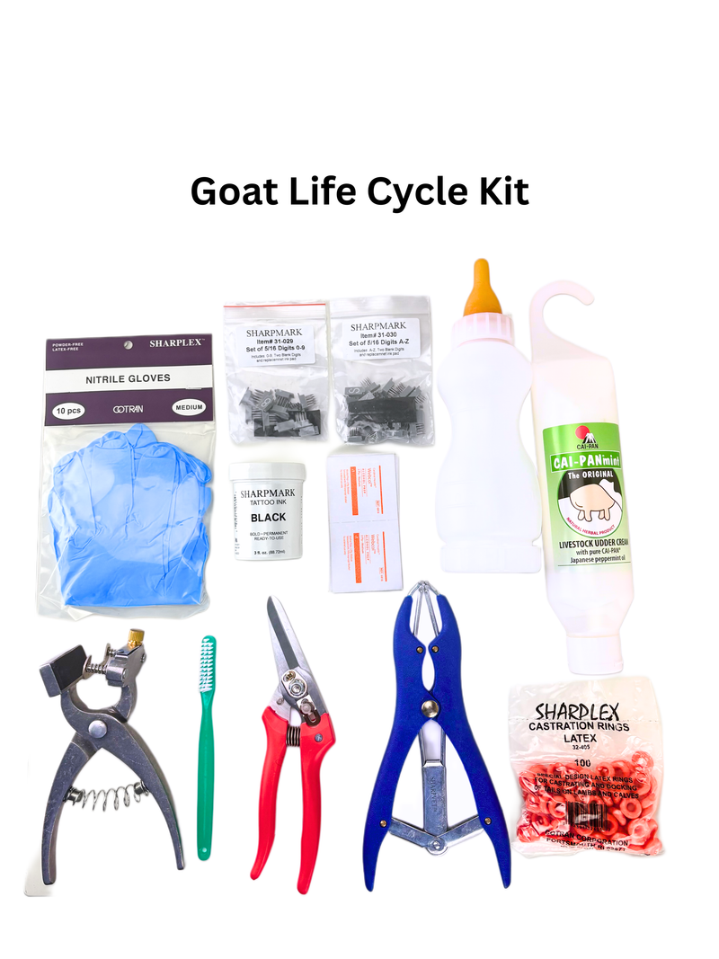 Goat Life cycle kit