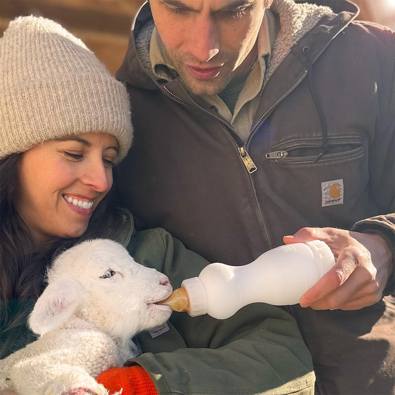 Goat Life cycle kit